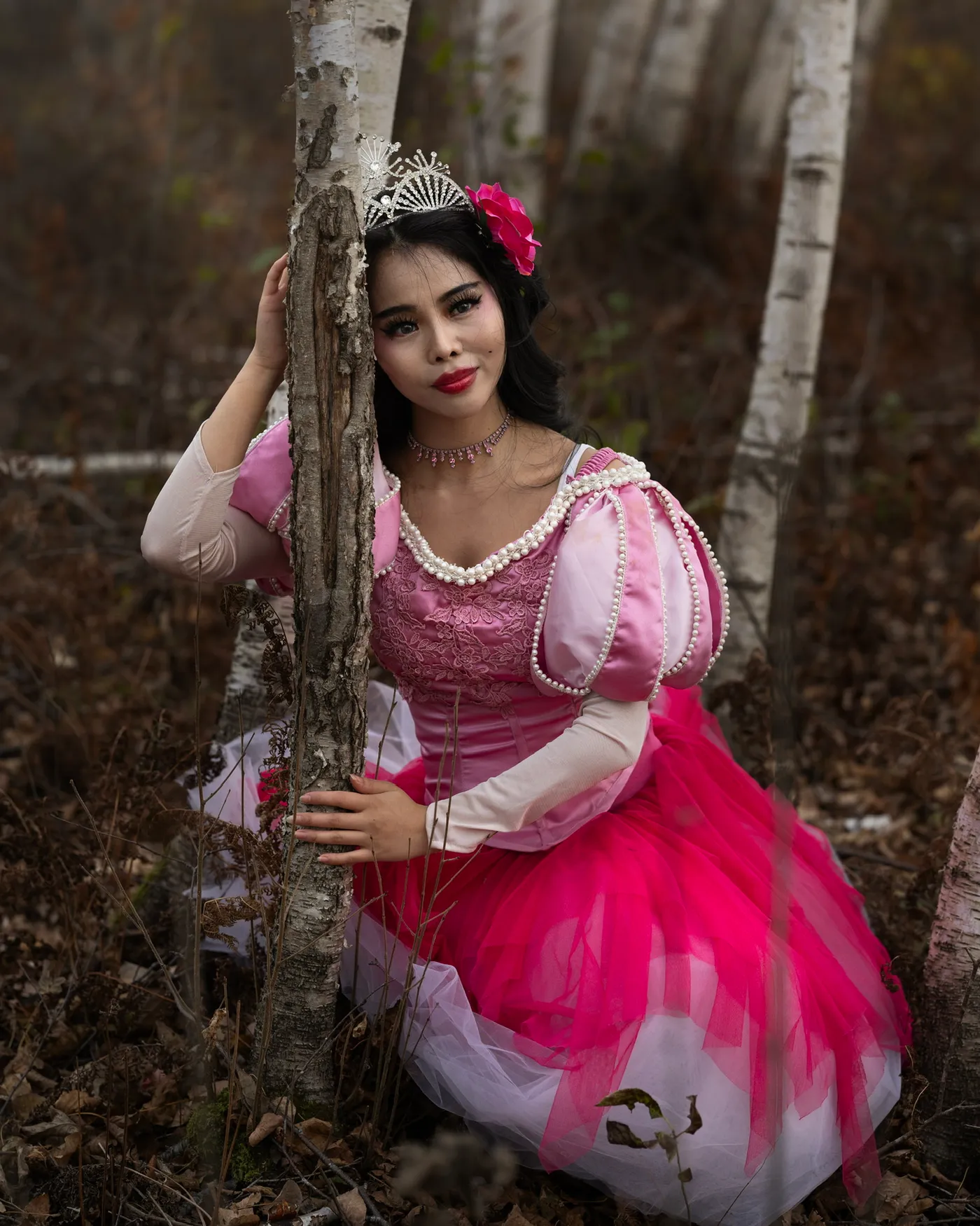 Princess Lost in the Woods — 2